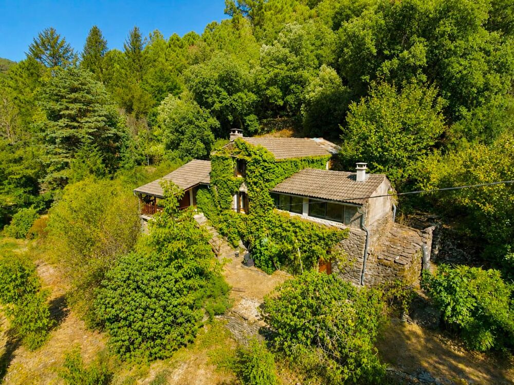 Vente Maison Maison à vendre 4 pièces SAINT MARTIN DE BOUBAUX (48) Saint martin de boubaux
