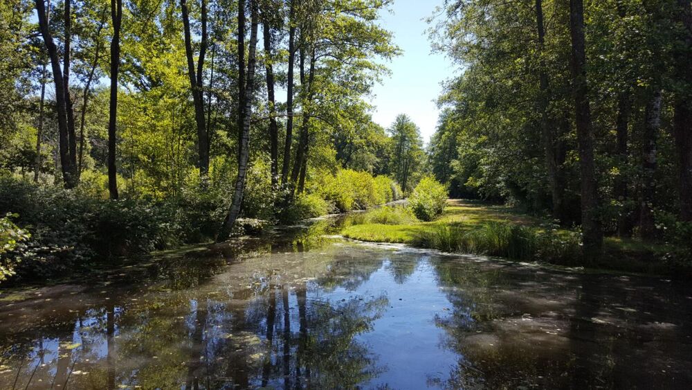 Vente Terrain Propriété de chasse Clemont Clemont