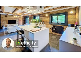  Chalet � vendre 15 + pi�ces 370 m�