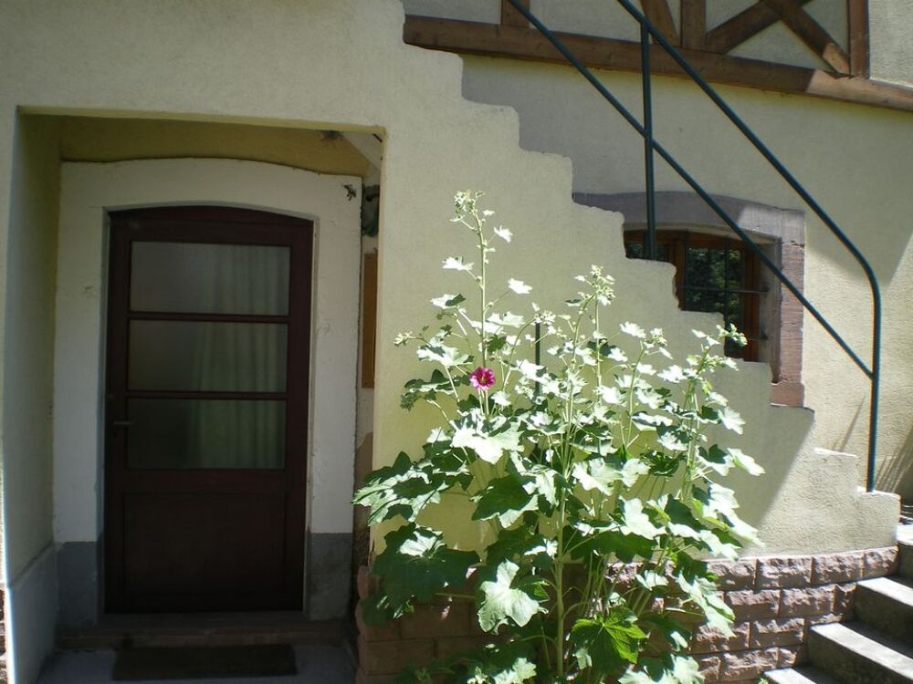 Location Appartement Studio de 19m2 à louer sur Colmar Colmar