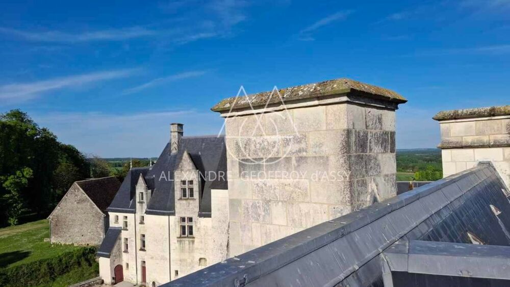 Vente Propriété/Château Château millénaire surplombant un village sur un parc de 15 ha Le blanc