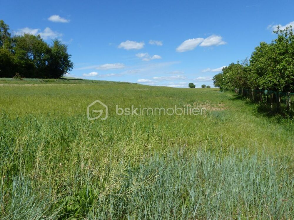 Vente Terrain Terrain de 5 787 m² dont 1 710 m² constructibles Charbuy