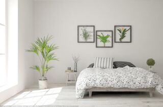  Appartement � vendre 2 pi�ces 45 m�