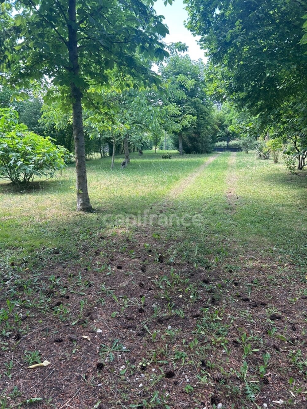 ??Pavillon de caractère en Puisaye (Bléneau) ?