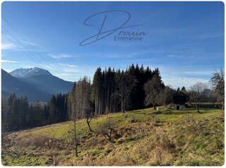  Terrain à vendre 15405 m²