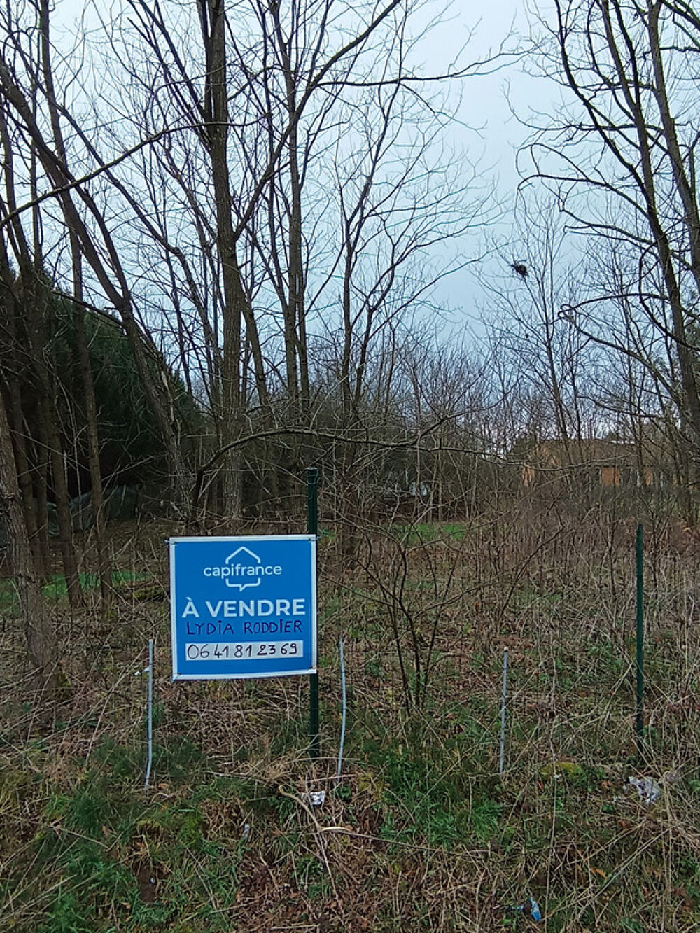 Vente Terrain Terrain plat clôturé et arboré 1415 m2 à Puy-Guillaume-63290 Puy guillaume