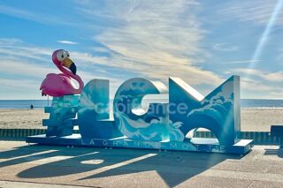  Appartement  vendre 3 pices 46 m