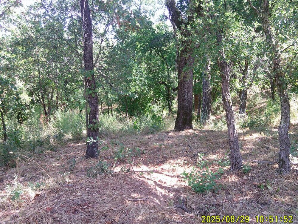 Vente Terrain LES MAYONS (83) terrain à bâtir 1200 m2 zone urbaine Les mayons