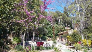  Propri�t�/ch�teau � vendre 7 pi�ces 1412 m�