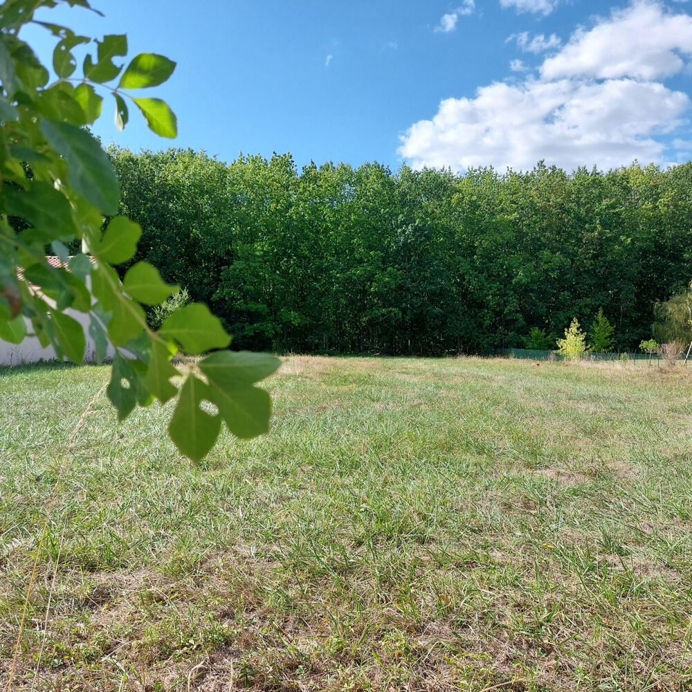 Vente Terrain Terrain à vendre de 1 032,00 m² MONTAUBAN (82) secteur Saint Martial Montauban