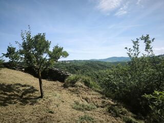  Terrain à vendre 1431 m²