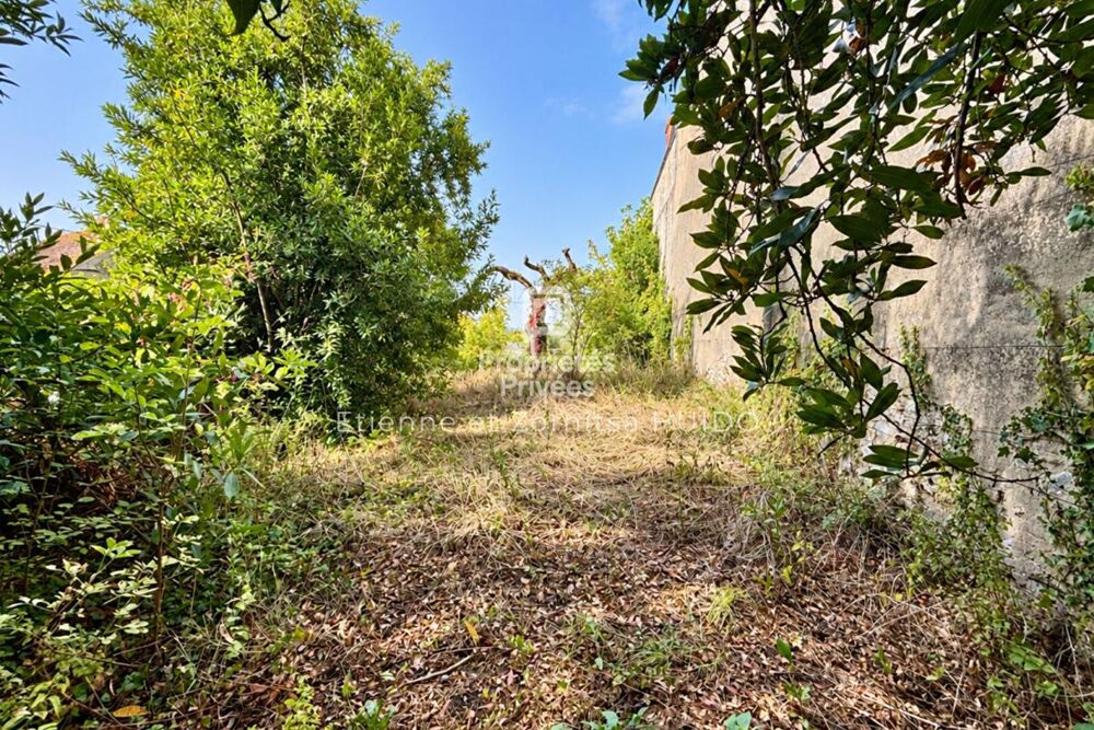Vente Immeuble Exclusivité - Immeuble Chatillon Sur Indre 9 pièce(s) 238 m2 Chatillon sur indre