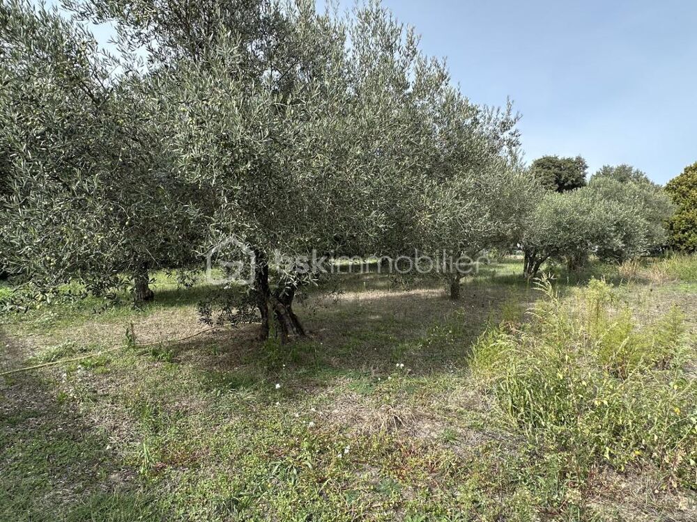 Vente Maison Maison plain-pied 120m² habitable sur 1896m² de terrains, 3 chambres Montfrin