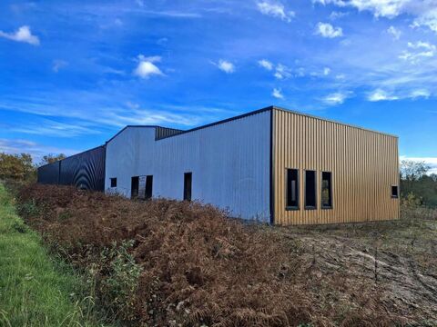   Bâtiment de 660 m² sur grand terrain à Laruscade (33620) 