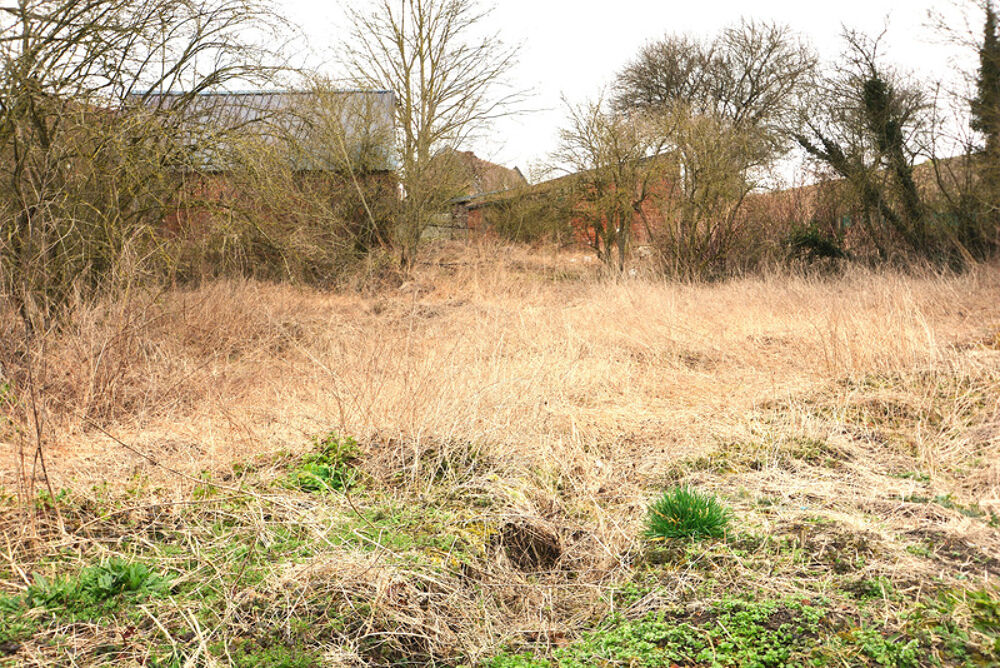Vente Terrain Terrain constructible à vendre  ORSINVAL (59), 414 m² Orsinval