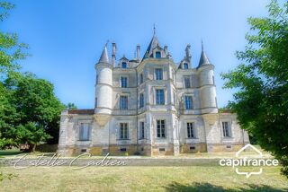  Propriété/château à vendre 15 + pièces 843 m² Chantonnay