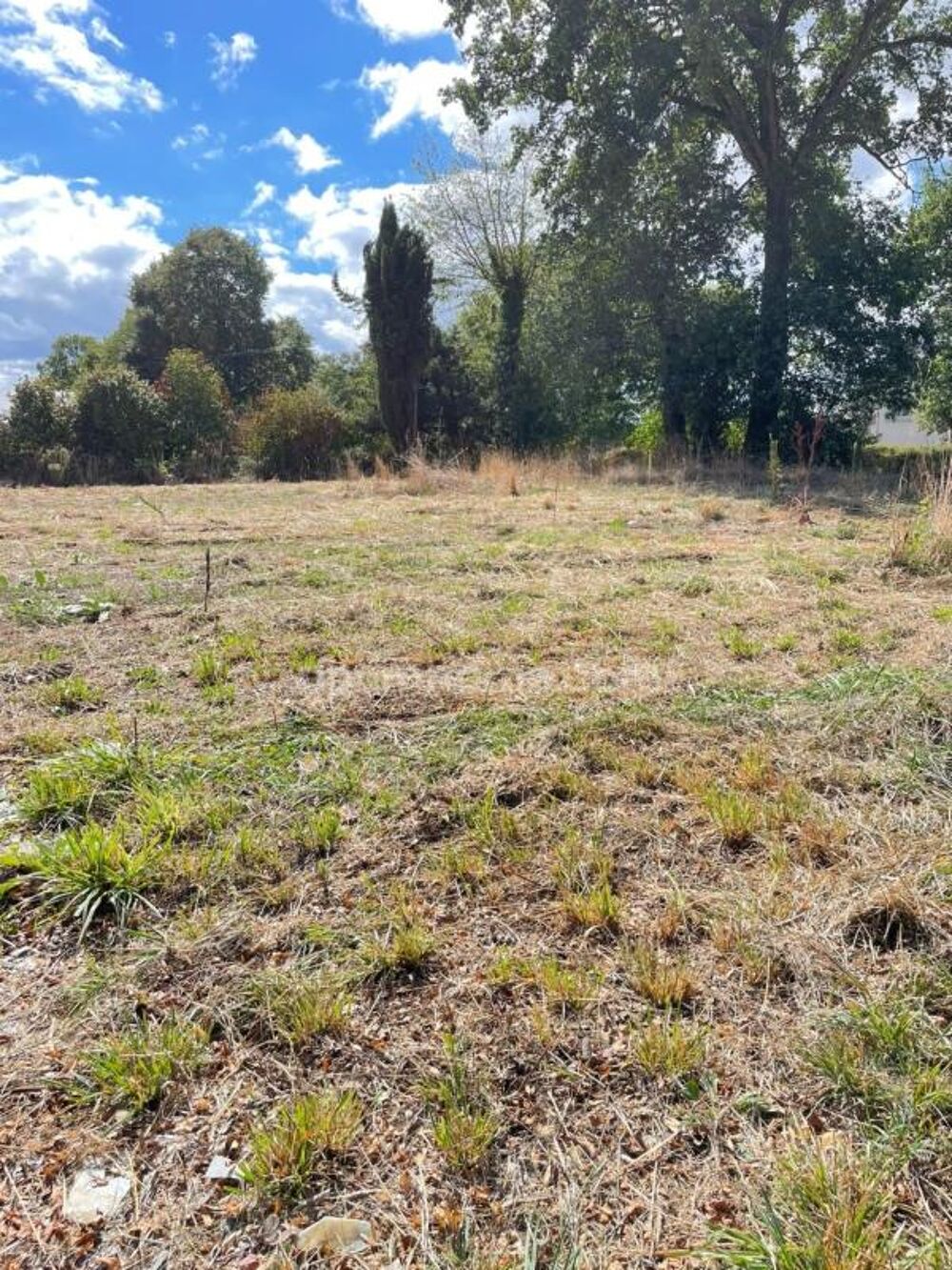 Vente Terrain Belle opportunité ! Terrain de 1 606 m² avec large façade PLOERMEL (56) Ploermel