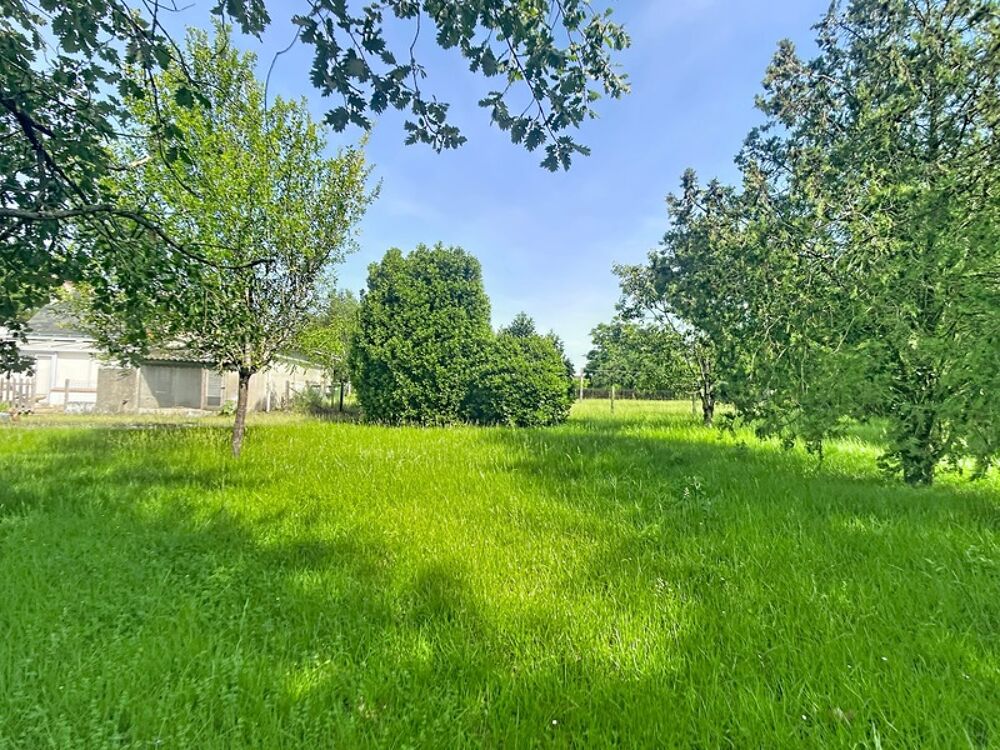 Maison à restaurer ou Terrain à fort potentiel  secteur recherché de Saint-Cyr-sur-Loire
