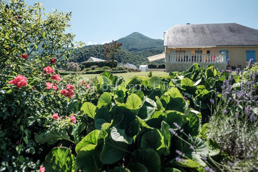 � vendre  Propri�t�/ch�teau Lourdes (65100)