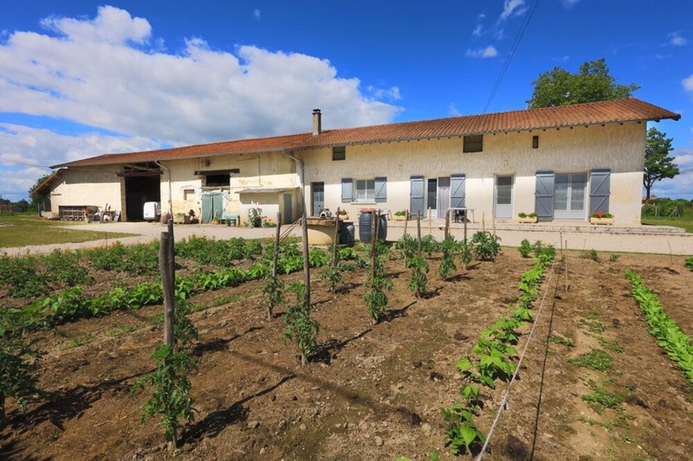 Vente Maison VIAGER OCCUPÉ Ferme avec grandes dépendances sur 2,2 hectares de terrain Pont de vaux
