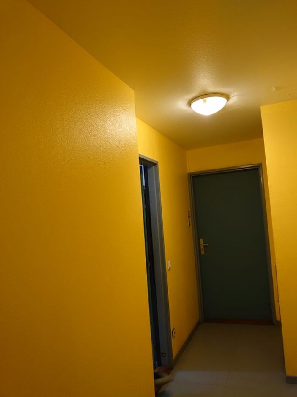 Location Appartement Studio de 16m2 à louer sur Champs-sur-Marne Champs sur marne