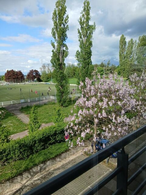  Appartement � louer 2 pi�ces 42 m�