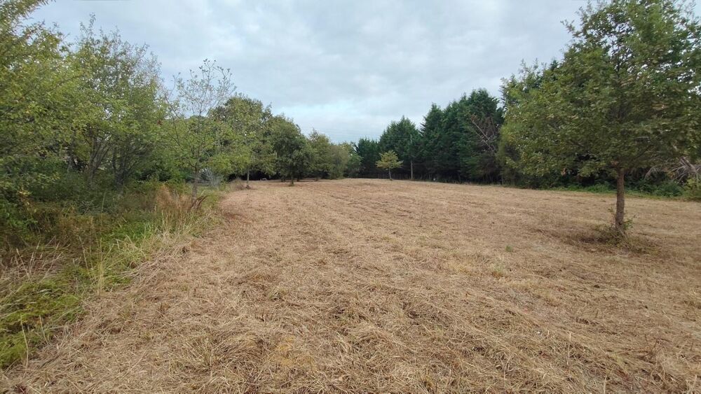 Vente Terrain Terrain à vendre de 3 620,00 m² LE HOUGA (32) Le houga