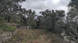  Terrain à vendre 3015 m²