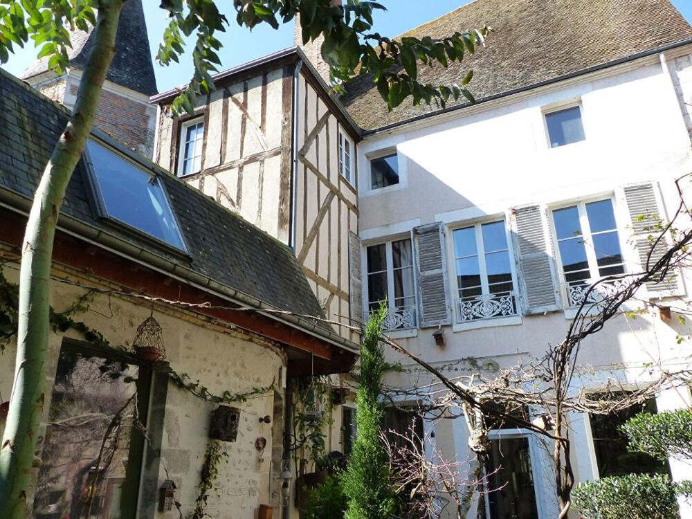 MAISON D'ARTISTE CHATILLON SUR LOIRE VENTE À TERME OCCUPÉE