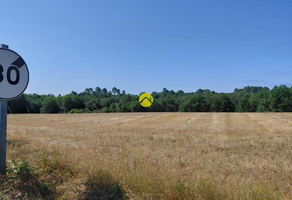 Vente Terrain BELLE Terrain agricole Saint felix de reillac et mortemar