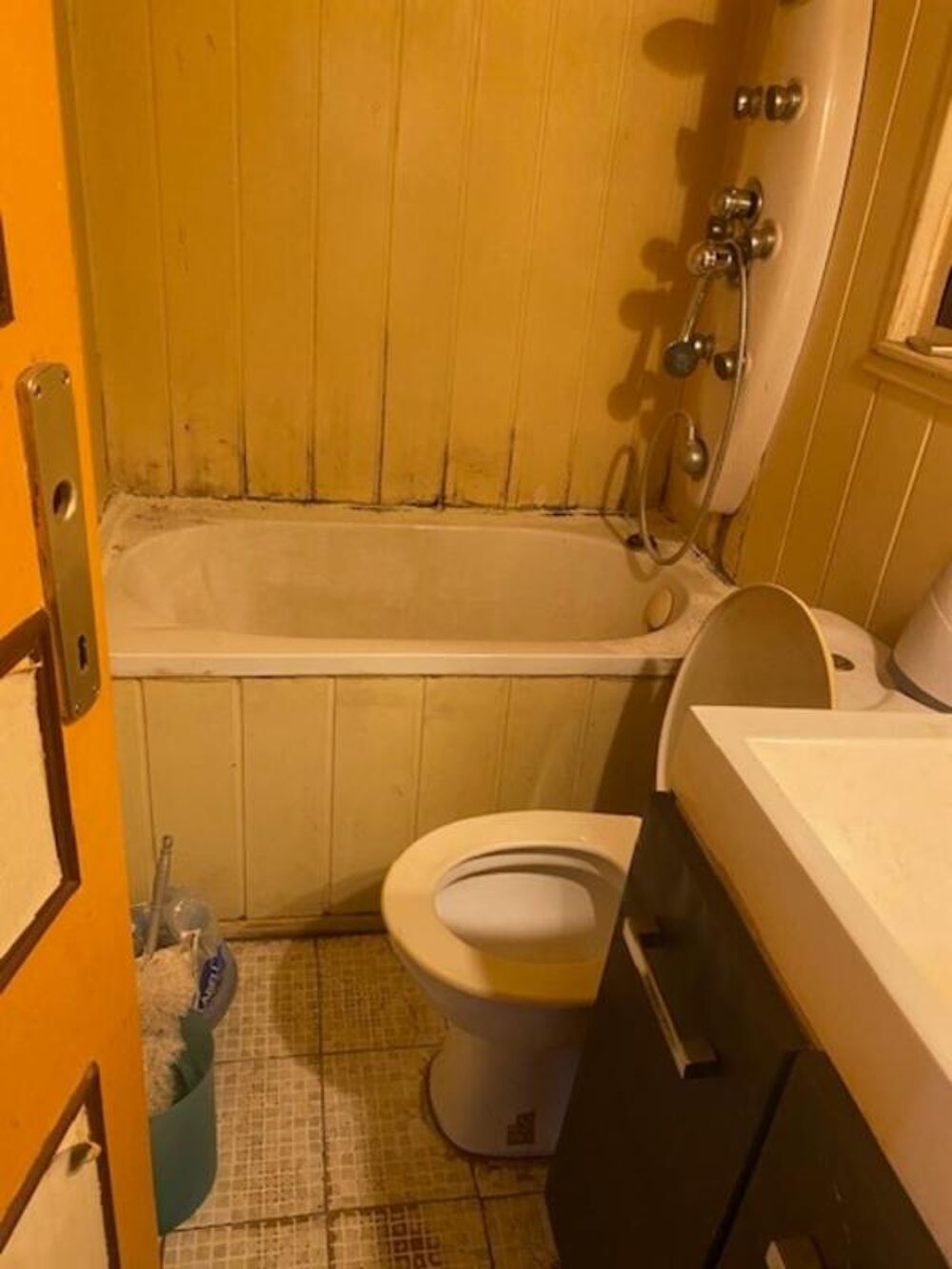 Vente Chalet Maison à vendre 3 pièces DARVAULT (77) Darvault