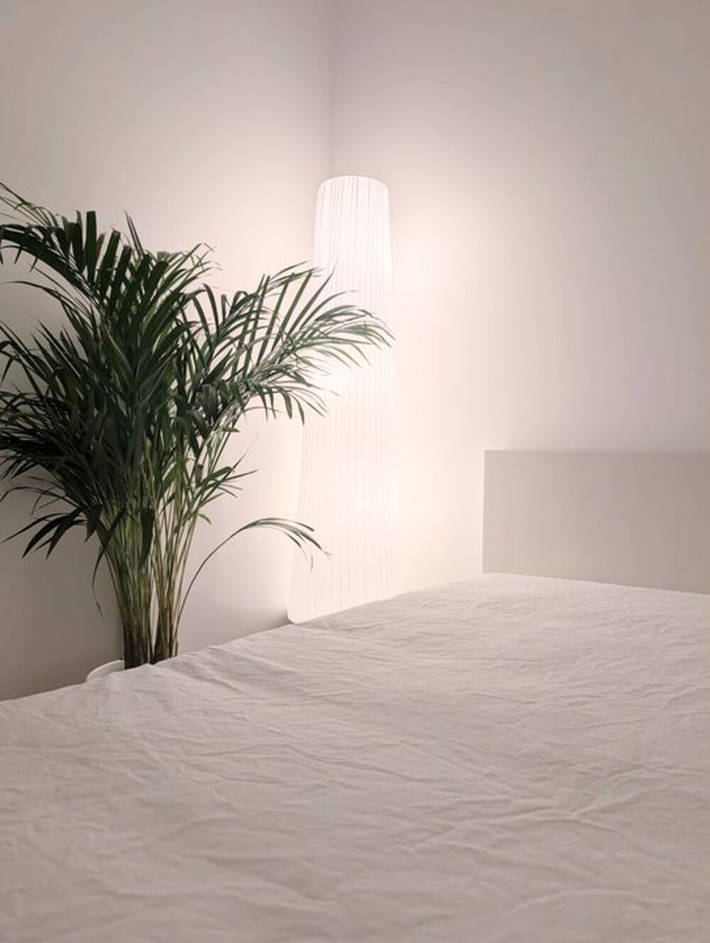 Location Appartement Chambre de 14m2 à louer sur Nantes Nantes