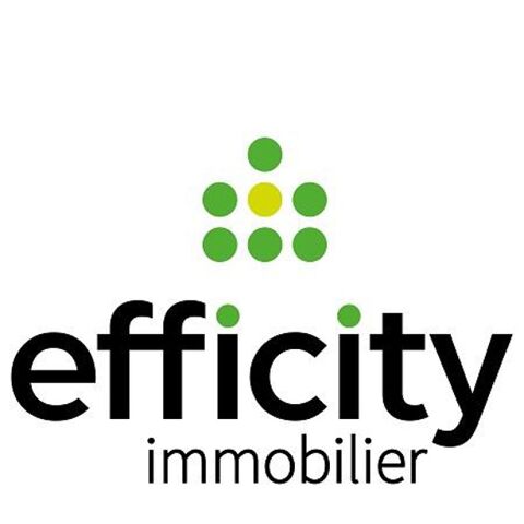 Commerces/Negoce 150000 75020 Paris