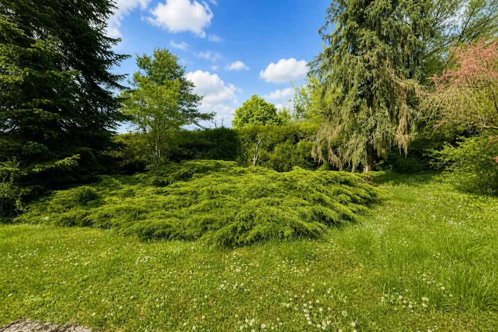 Vente Maison Maison spacieuse avec jardin à Poligny Poligny