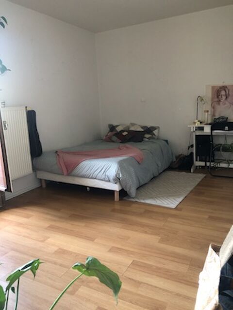  Appartement � louer 1 pi�ce 24 m�