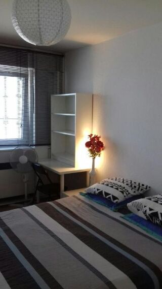  Appartement à louer 1 pièce 25 m²