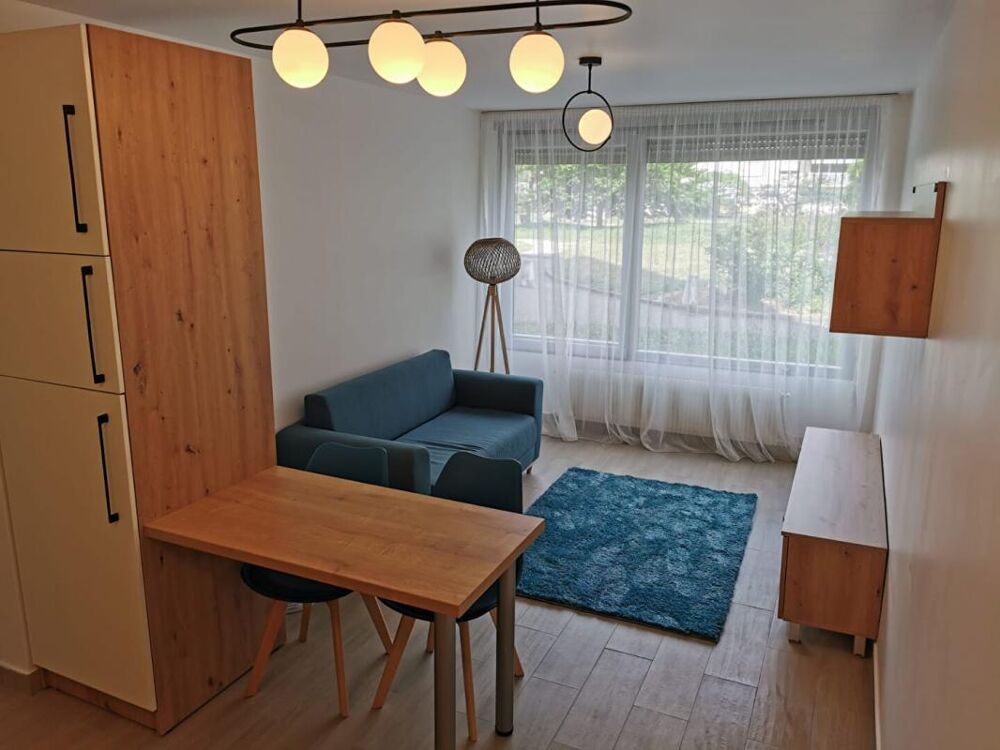 Location Appartement Appartement Lyon 2 pièces 39 m2, parking Lyon 8
