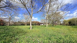  Terrain � vendre 1000 m�