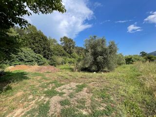  Terrain � vendre 8136 m�