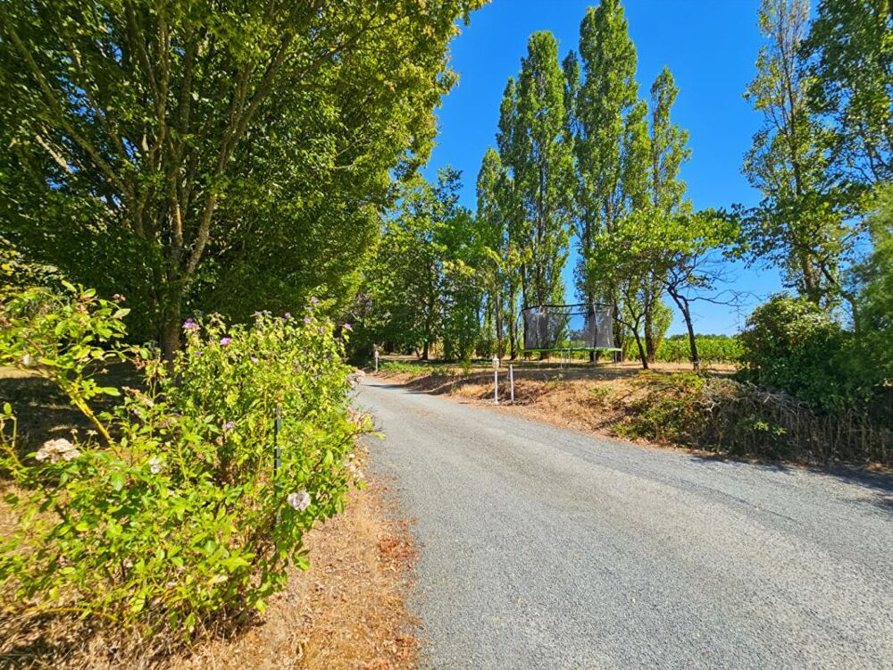 Bellevigne-en-Layon - Propriété de 250 m² - 2 habitations - Piscine chauffée - Plus d'1 hectare de terrain