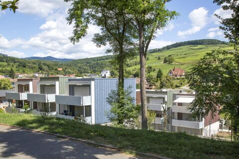   74730110 - Appartement - F2 - Soultzmatt (68570) Appartement - 2 pi�ce(s) - 55 m�