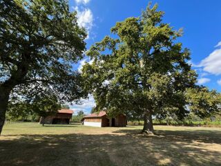  Terrain � vendre 5878 m�