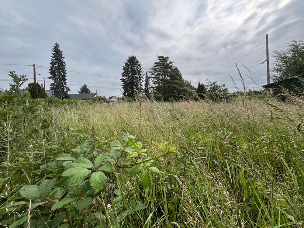 Vente Terrain Terrain Romorantin Lanthenay 15260 m2 Romorantin lanthenay