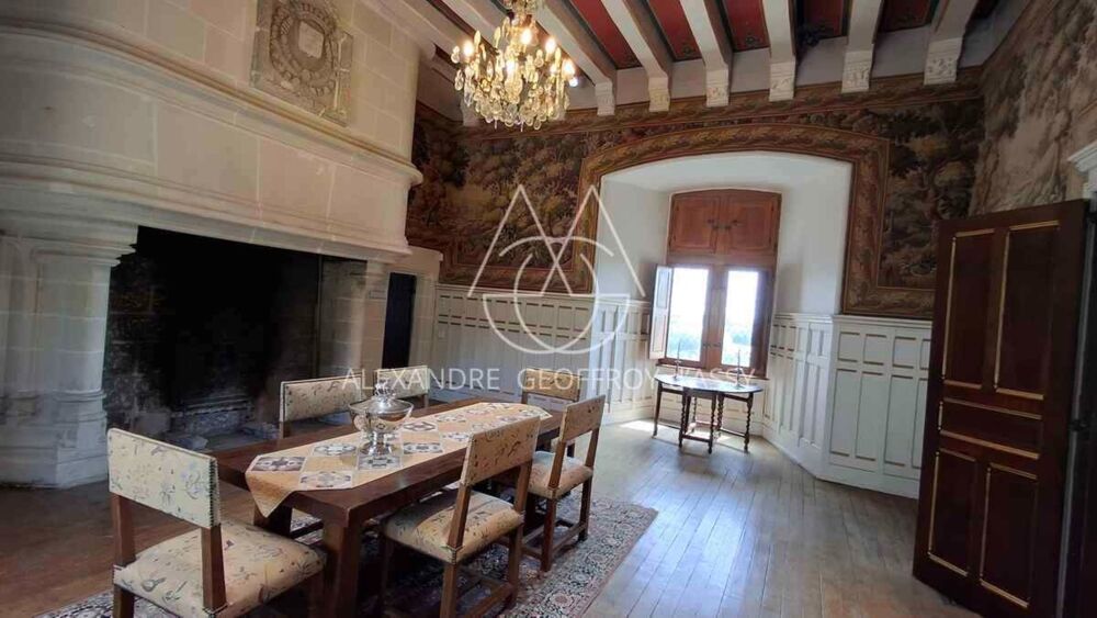à vendre  Propriété/château Le Blanc (36300)