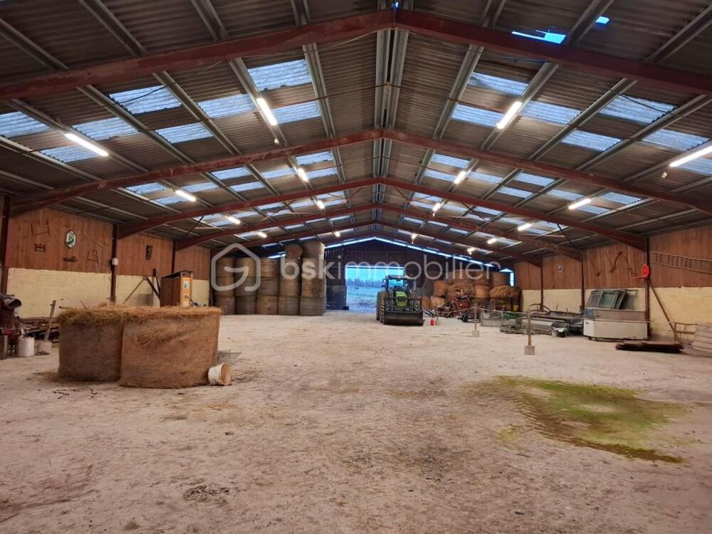 Grand bâtiment polyvalent : équestre ou agricole de plus de 2 100 m² couverts sur 6,6 hectares