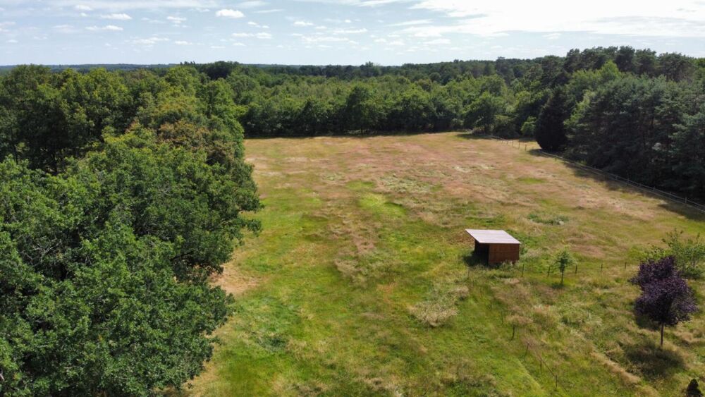 Vente Terrain Terrain Villefranche Sur Cher 9000 m2 Villefranche sur cher