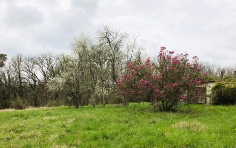   Propri�t� de 2 maisons, au coeur de 40 Ha de for�ts et prairies Maison - 6 pi�ce(s) - 175 m�