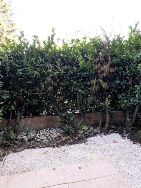  Appartement � louer 1 pi�ce 22 m�