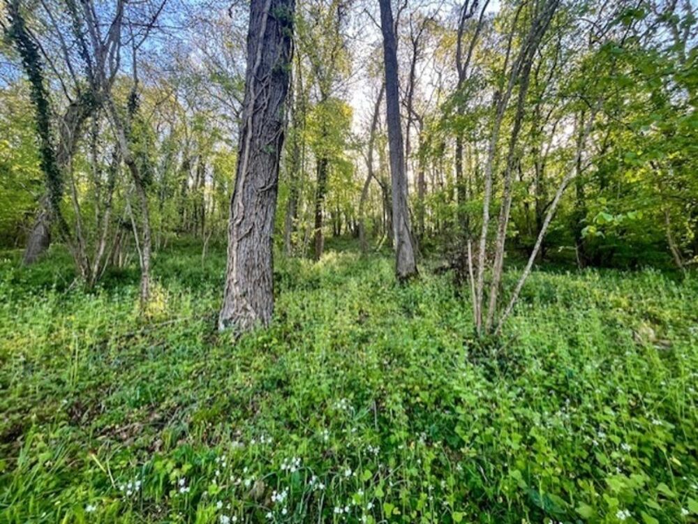 Vente Terrain Terrain à vendre de 1 500m² AVAILLES THOUARSAIS (79) Availles thouarsais