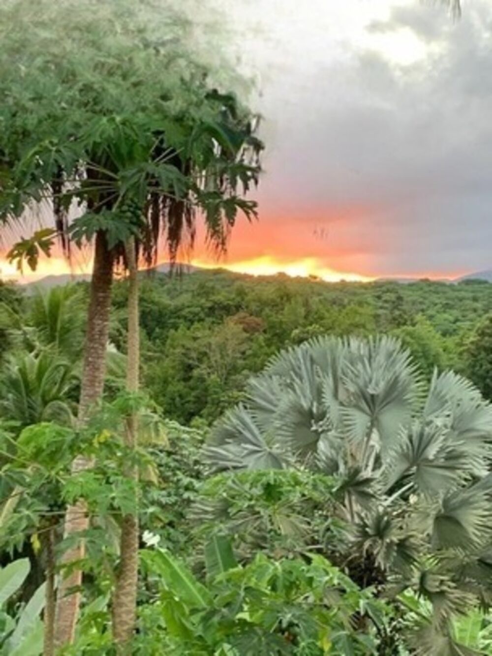 � vendre  Villa Petit-Bourg (97170)